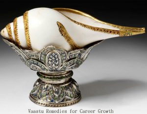 vaastu remedies for career growth
